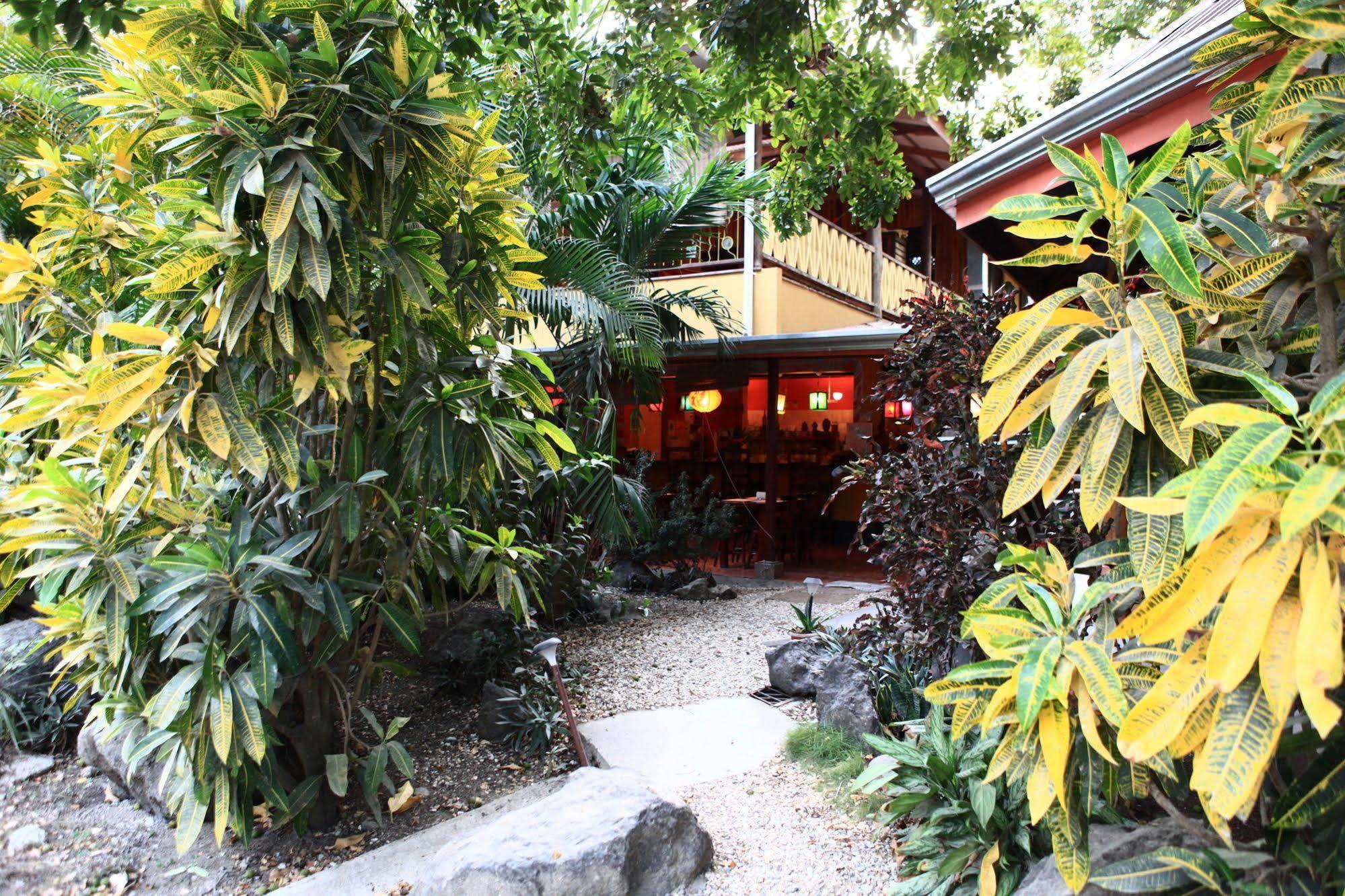 Casa Zen Guesthouse & Yoga Center Playa Santa Teresa  Esterno foto
